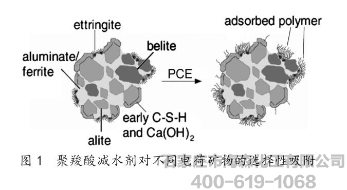 聚羧酸减水剂吸附特性及其对水泥水化的影响研究进展