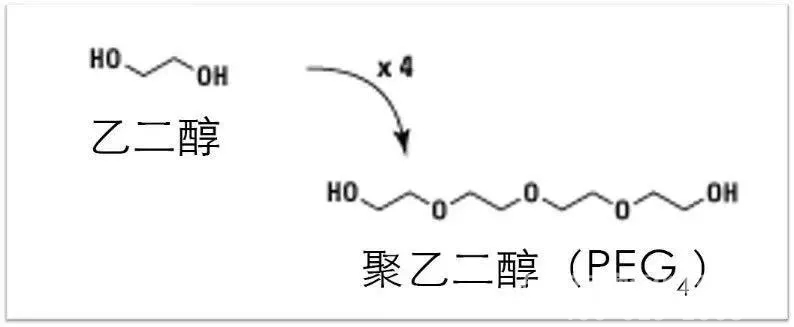 聚乙二醇修饰类药物（PEG）科普知识