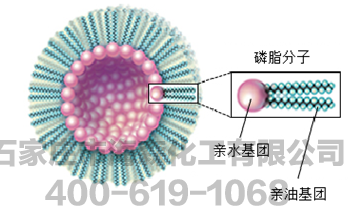 表面活性剂对实验的影响